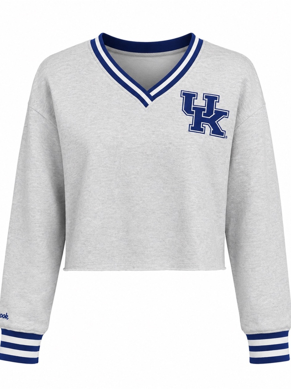 Champion Kentucky Wildcats Cropped Sweatshirt Gray Blue Women’s L